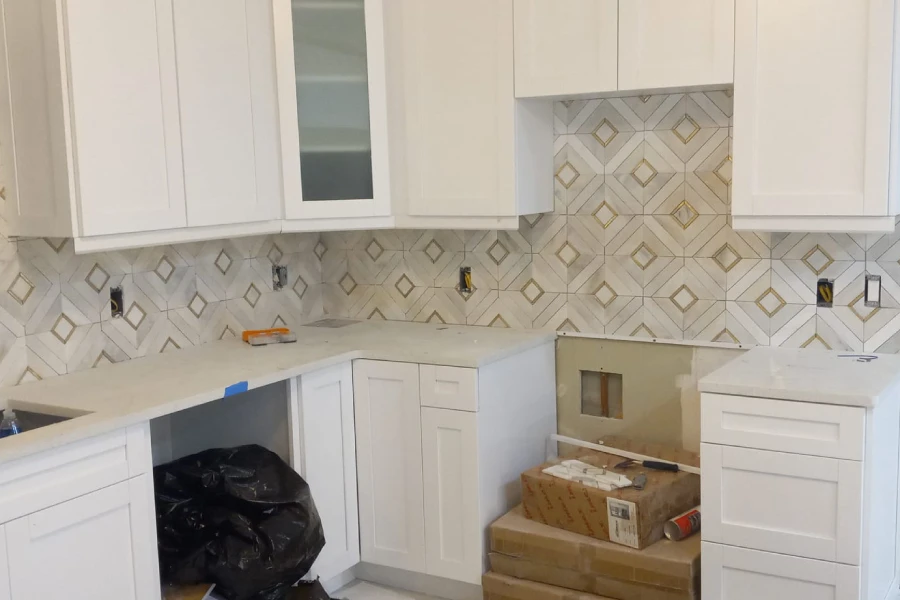 Professional Remodeler